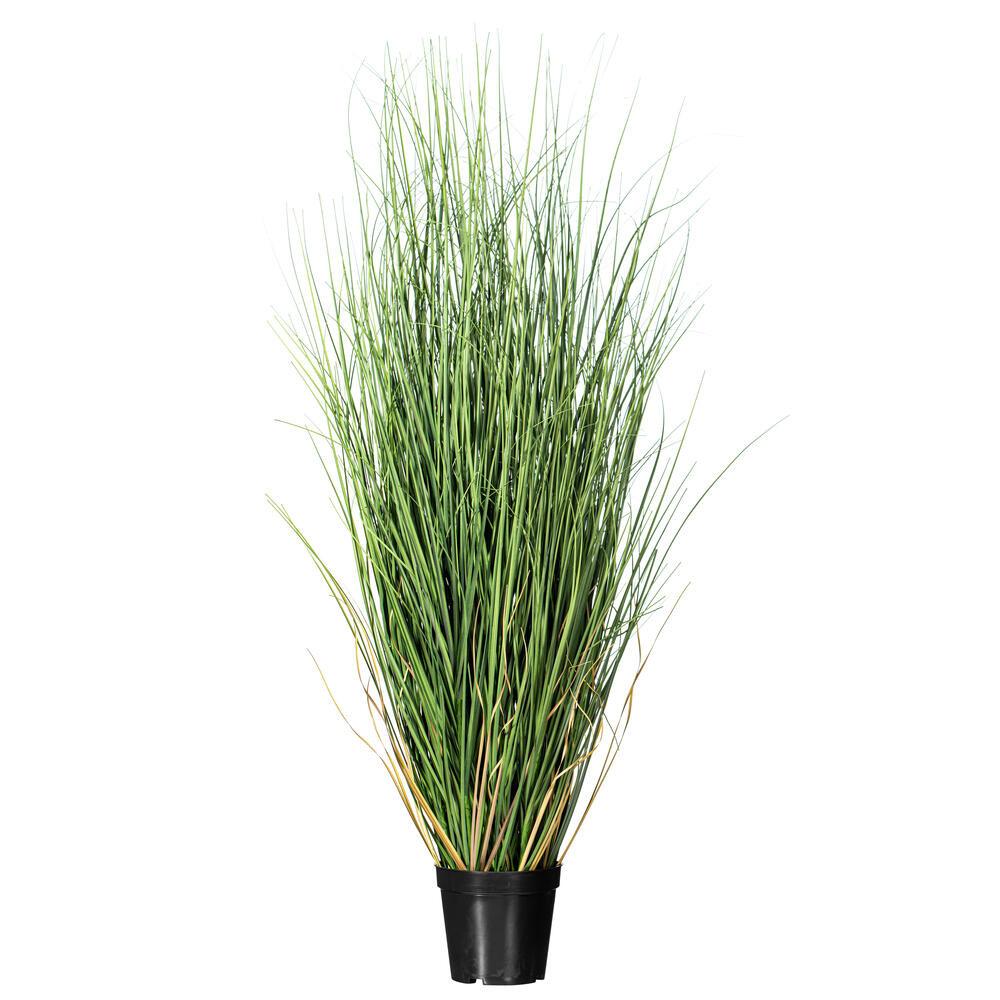 Vickerman TN170636 3ft Green Curled Grass in Pot Questions & Answers