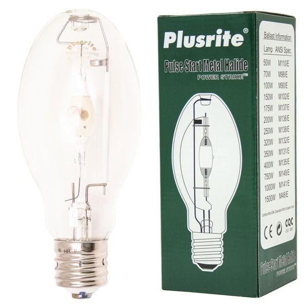 the pulserite 320 watt ed28   m154e/m132e lamps at $ 15.39, do you have 24 for instant shipment today